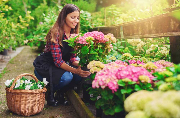 Formation horticole reconversion, Saint-Germain-en-Laye, ALT CORPORATION